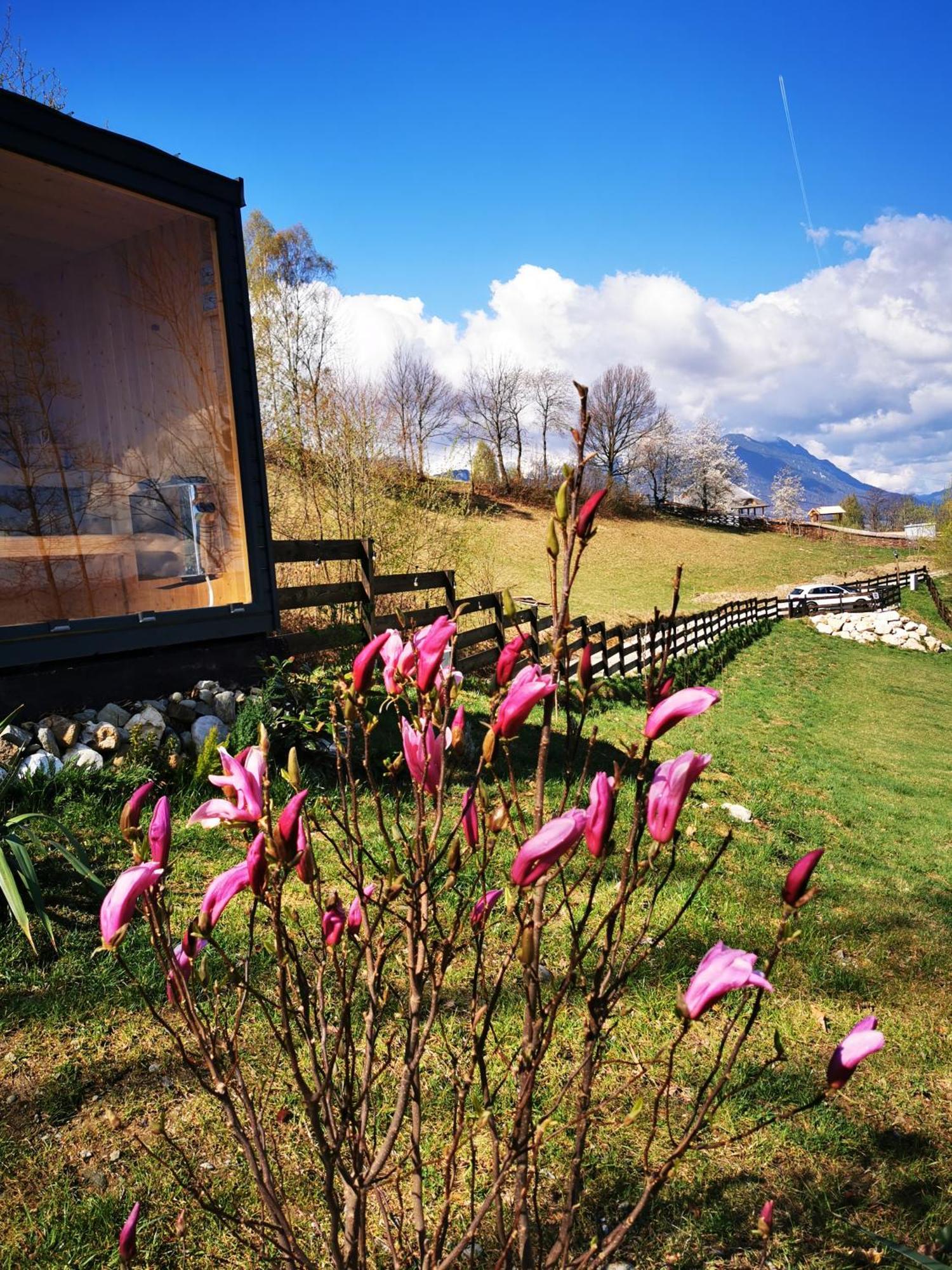 Doza De Verde Retreat&Spa Bran-Adults Only Sohodol  Экстерьер фото